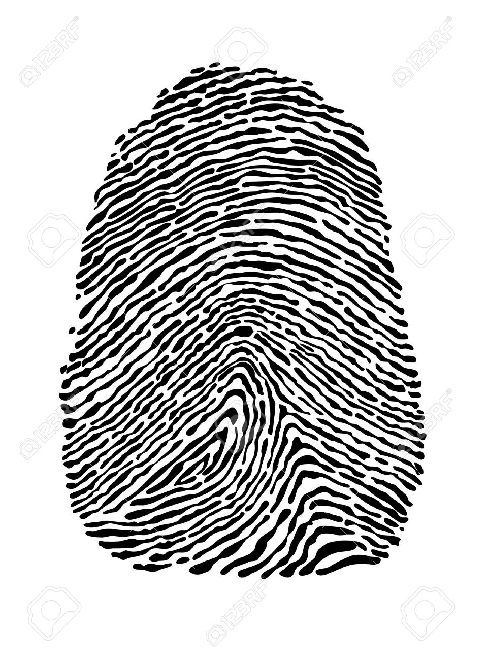 961x1300 People Fingerprint Isolated On White Background For Security