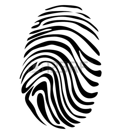 405x450 People Fingerprint Isolated On White Background For Security
