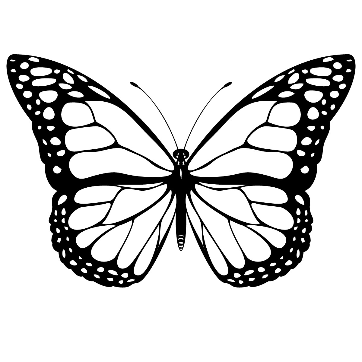 1200x1200 Butterfly Fingerprints, Wallpapers And Specials