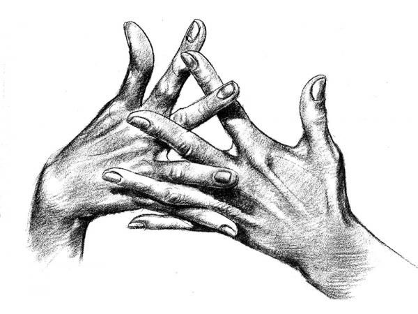 600x450 Hands Lady Fingers. Drawing Black White