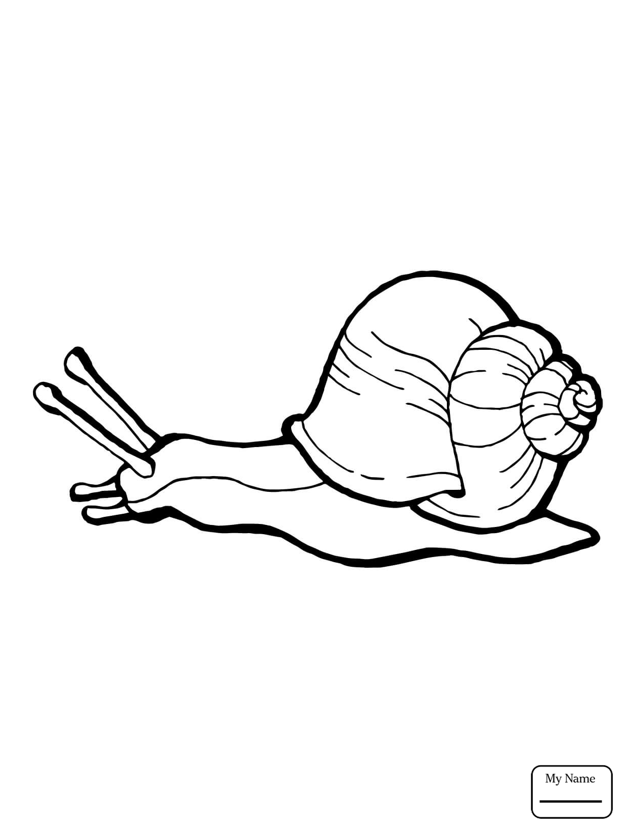 1224x1632 Coloring Pages Mollusks Snail Reaching Finish Line