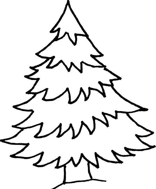 541x657 Coloring Fir Tree Picture