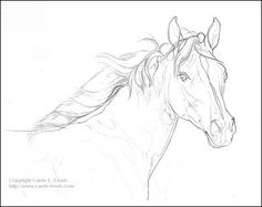 236x187 Original Colored Pencil Drawing, Fire N Ice Filly Colored