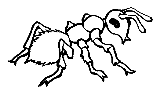 524x311 Fire Ant Coloring Page