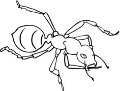 236x179 Fire Ant Coloring Page
