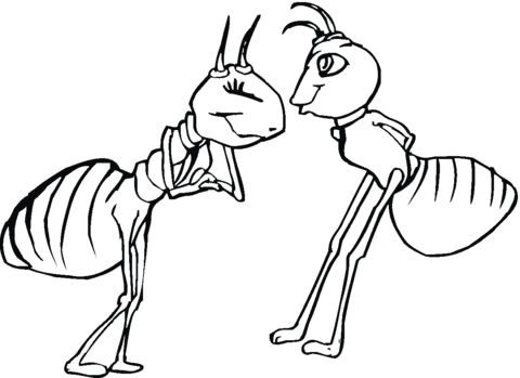 480x349 Ant Female And Ant Male Coloring Page Free Printable Coloring Pages