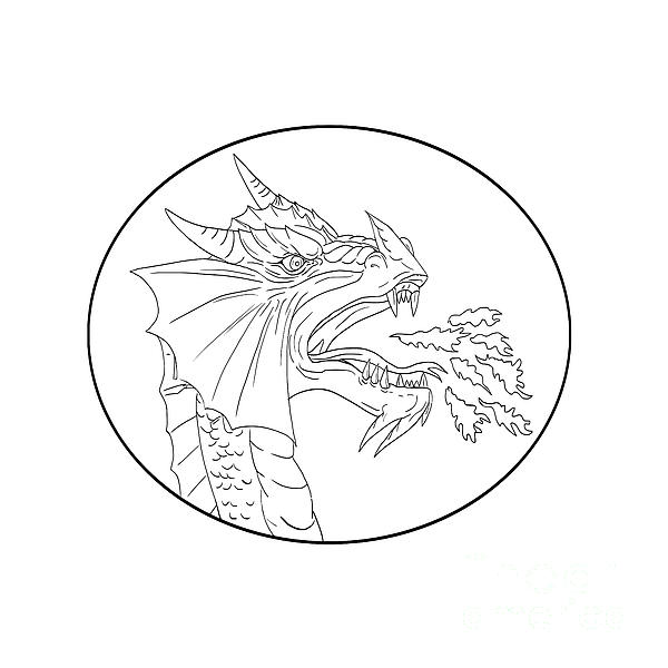 600x600 Dragon Fire Circle Drawing Digital Art By Aloysius Patrimonio
