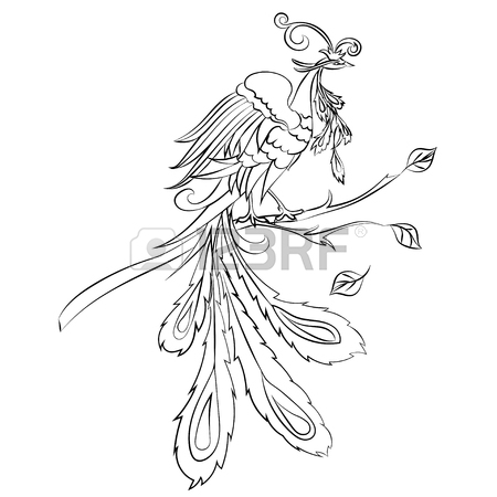 450x450 Black Sketch Drawing Of Fire Bird Are On A White Background