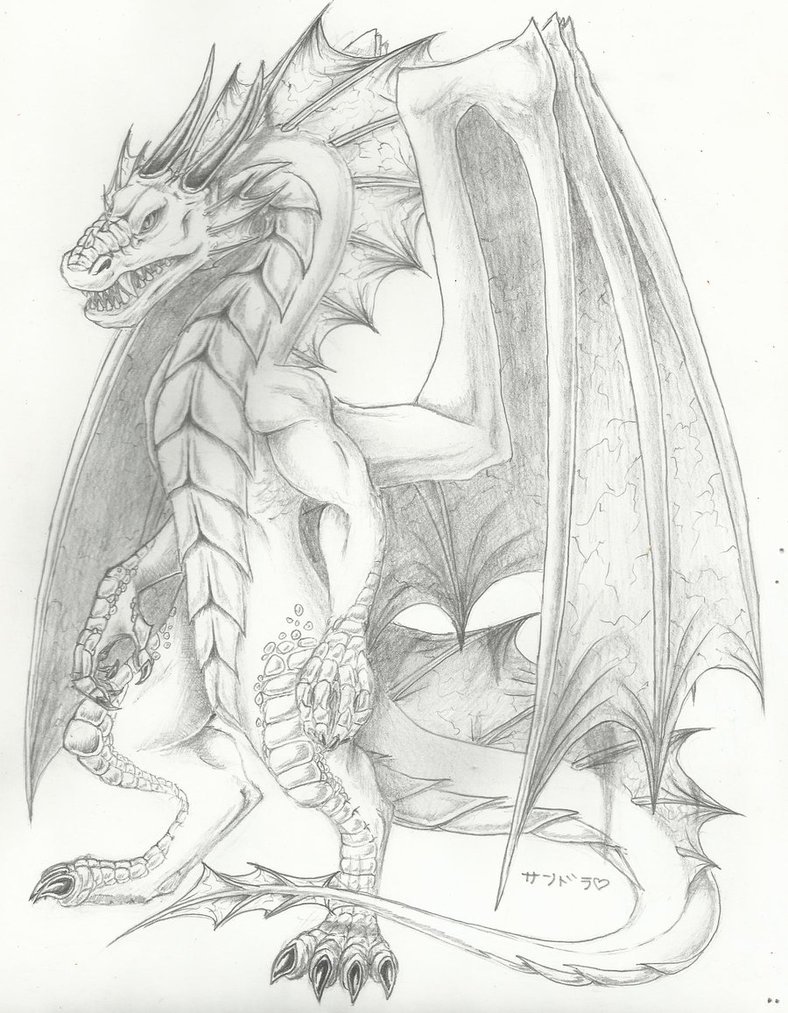 788x1013 Fire Dragon By Lycanthropeheart