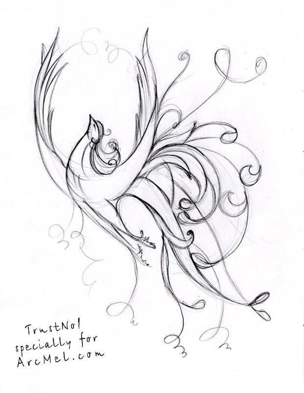 620x800 How To Draw The Fire Bird Step By Step