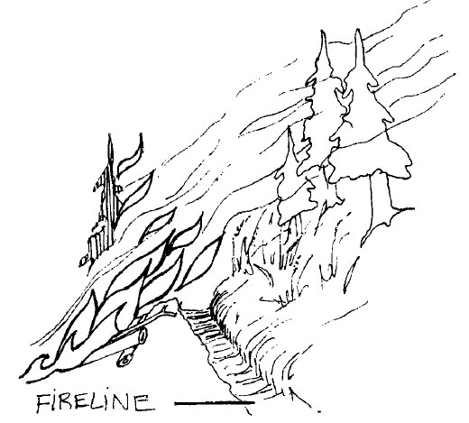 520x469 Colorado Firecamp, Wildland Fire Suppression Tactics Reference Guide