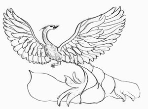 300x222 How To Draw A Fire Bird