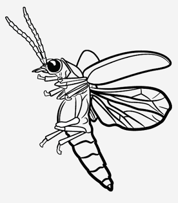 350x400 Firefly Kimetameta Fireflies And Drawings