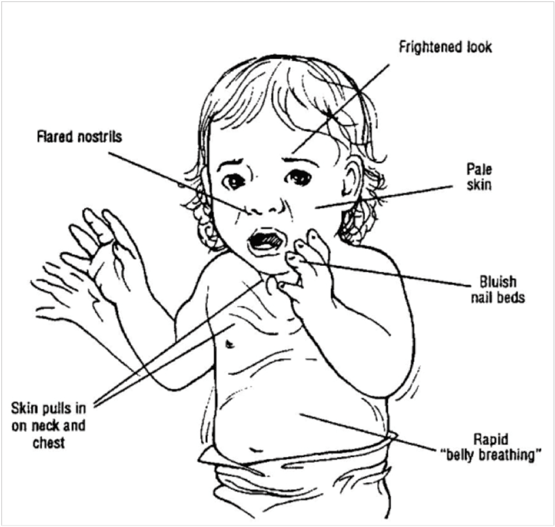 800x759 First Aid Facts