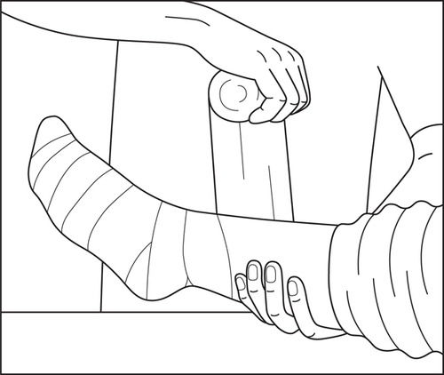 500x422 Perch Project Snake Bite First Aid Management Kit