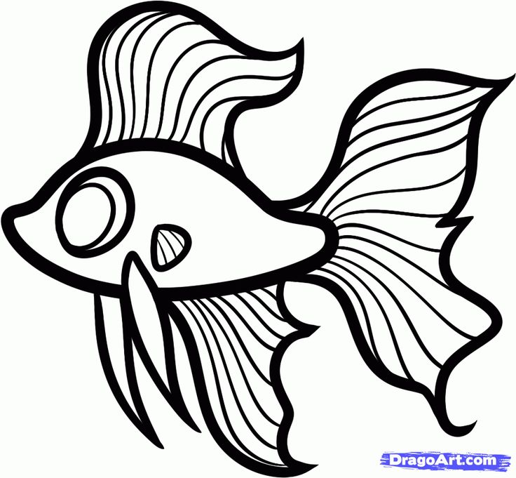 736x681 The Best Fish Drawing For Kids Ideas On Fish