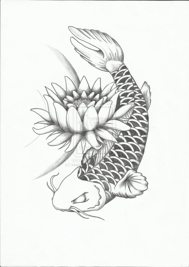 736x1040 Drawn Koi Fish Black And White