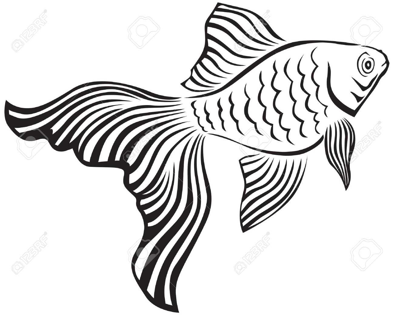 1300x1040 Line Art Image Of A Gold Fish With Its Veiltail Royalty Free