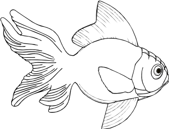 333x255 Clip Art Fish 2 Black White Line Art Svg