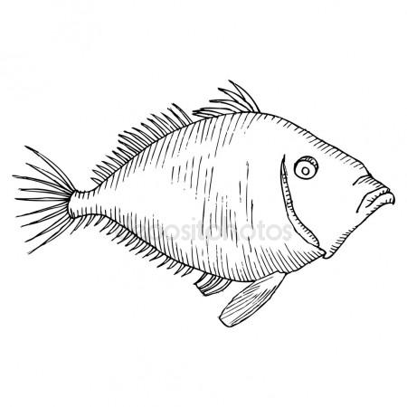 450x450 Black And White Fish Drawing Stock Vector Lineartestpilot