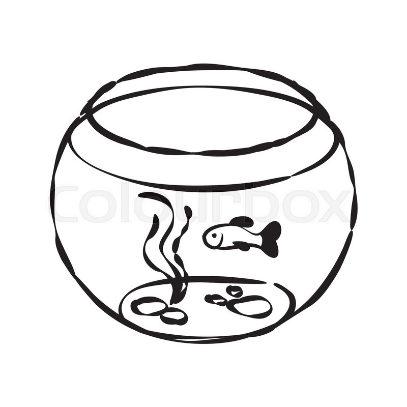 800x800 Fish Bowl Cartoon Vector And Illustration, Hand Drawn Style