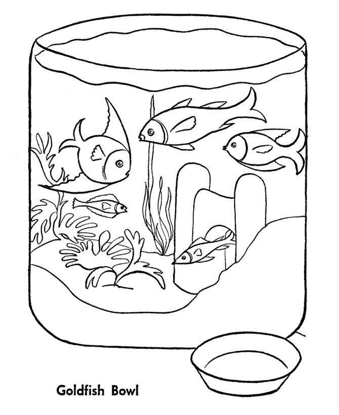 670x820 Pet Fish Coloring Gold Fish Bowl From Http