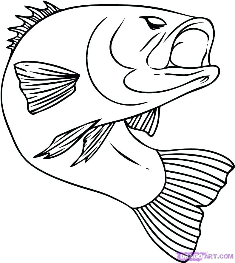 788x882 Cartoon Fish Coloring Pages