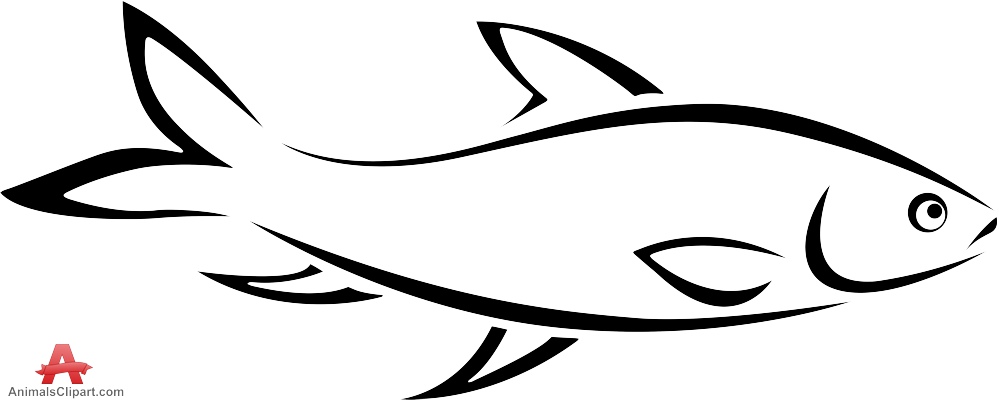 999x401 Outline Of Fish Fish Outline Clipart 2 Wikiclipart Free