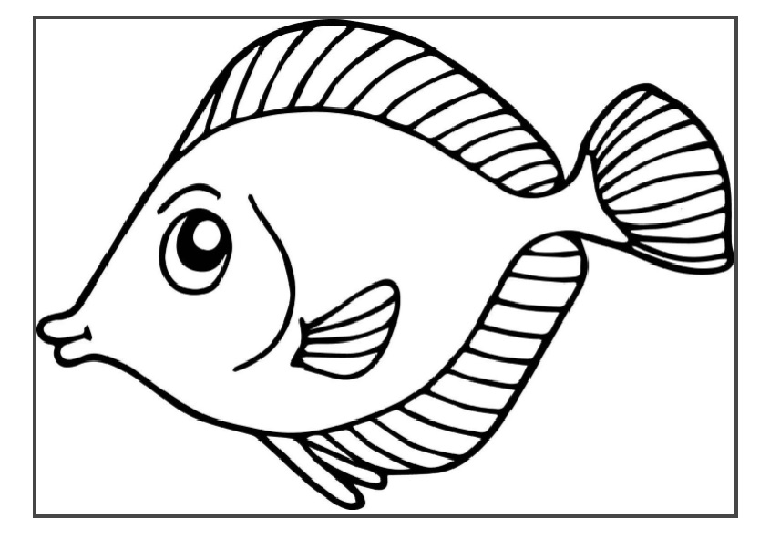 845x592 Animal Coloring Pages For Kids