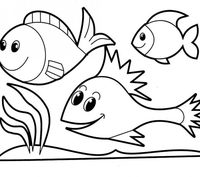 Fish Drawing For Colouring at GetDrawings | Free download