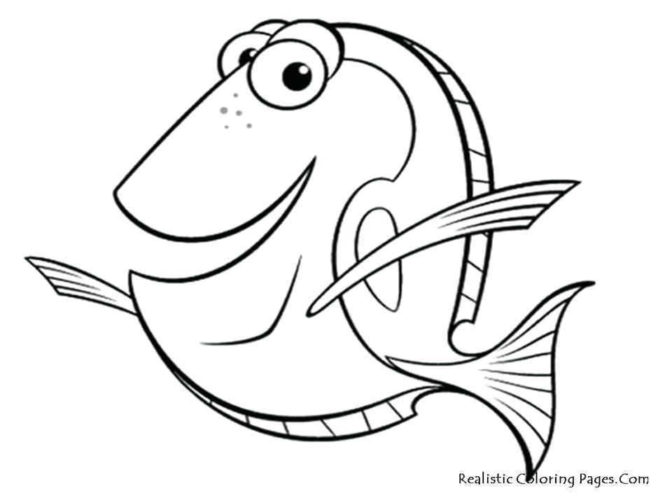 940x705 Coloring Pages Of Coral Reefs Fishes Coloring Pages Coral Reef