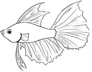 302x237 Drawn Fish Tropical Fish