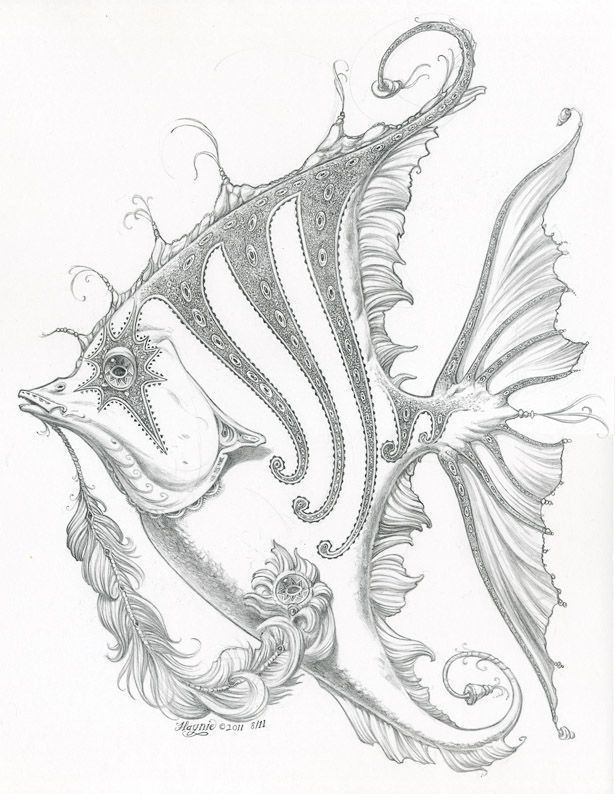 615x800 Fish Drawings Images Group