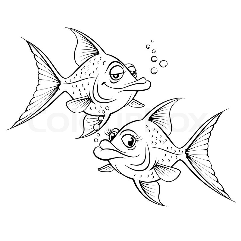 800x800 Two Drawing Cartoon Fish Stock Vector Colourbox