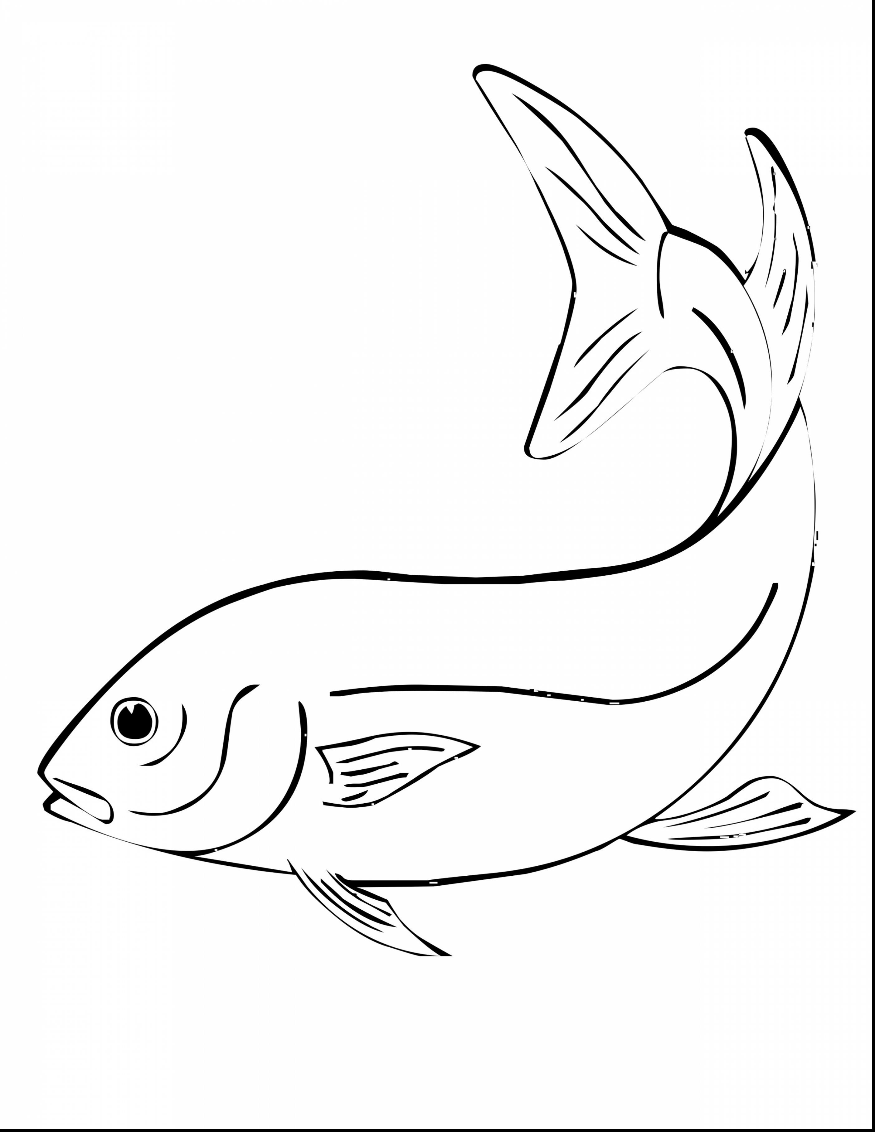 2805x3630 Stunning Fish Drawing Coloring Pages With Fishing Coloring Pages
