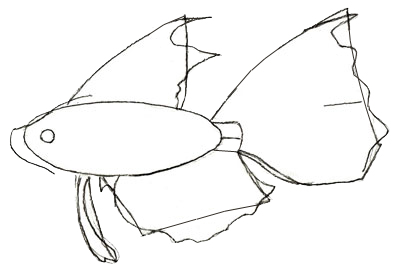 400x271 How To Draw A Fish