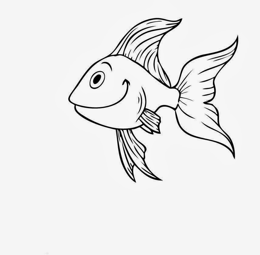 856x842 Line Drawings Of Fish 415088