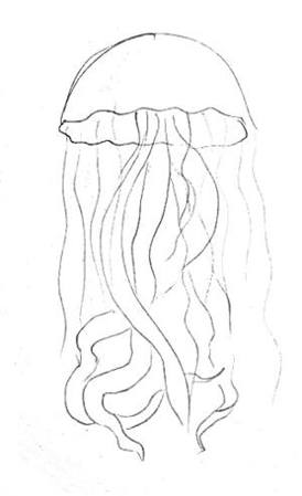 274x449 How To Draw A Jellyfish