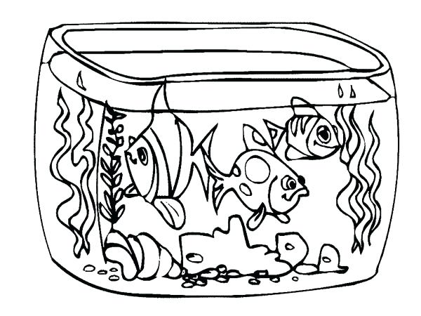 600x450 Outline Of Fish To Color Pin Drawn Fish Outline Drawing 2 Fish