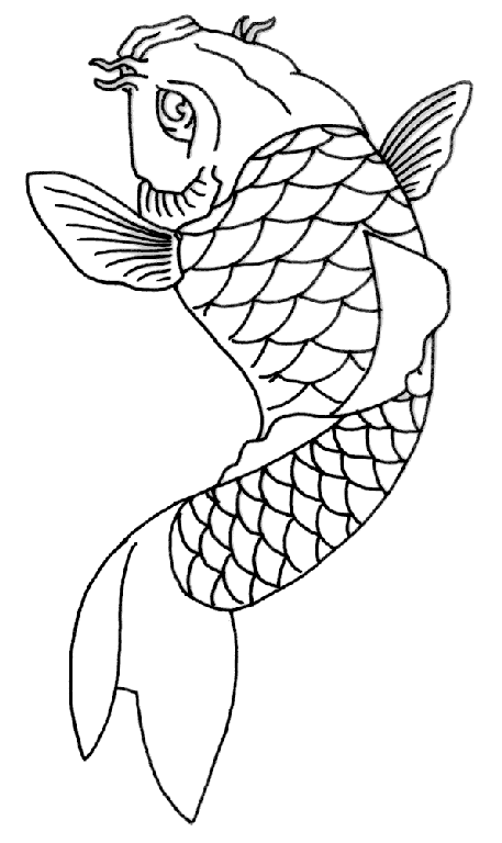 457x768 Koi Fish Tattoo Outline1 1 From Ballerzk Tattoo Amp Piercing