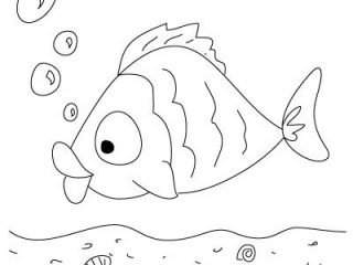320x240 Fun Drawings Kids How To Draw A Fish Fun Drawing Lessons
