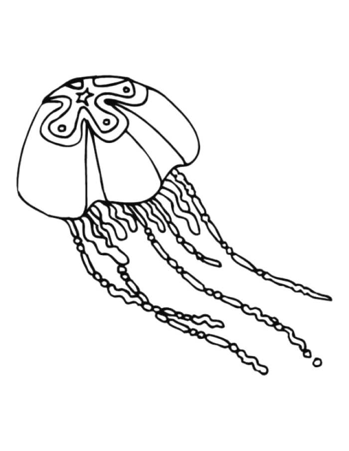 700x905 Most Beautiful Jelly Fish Drawing Ideas Wonderful Design