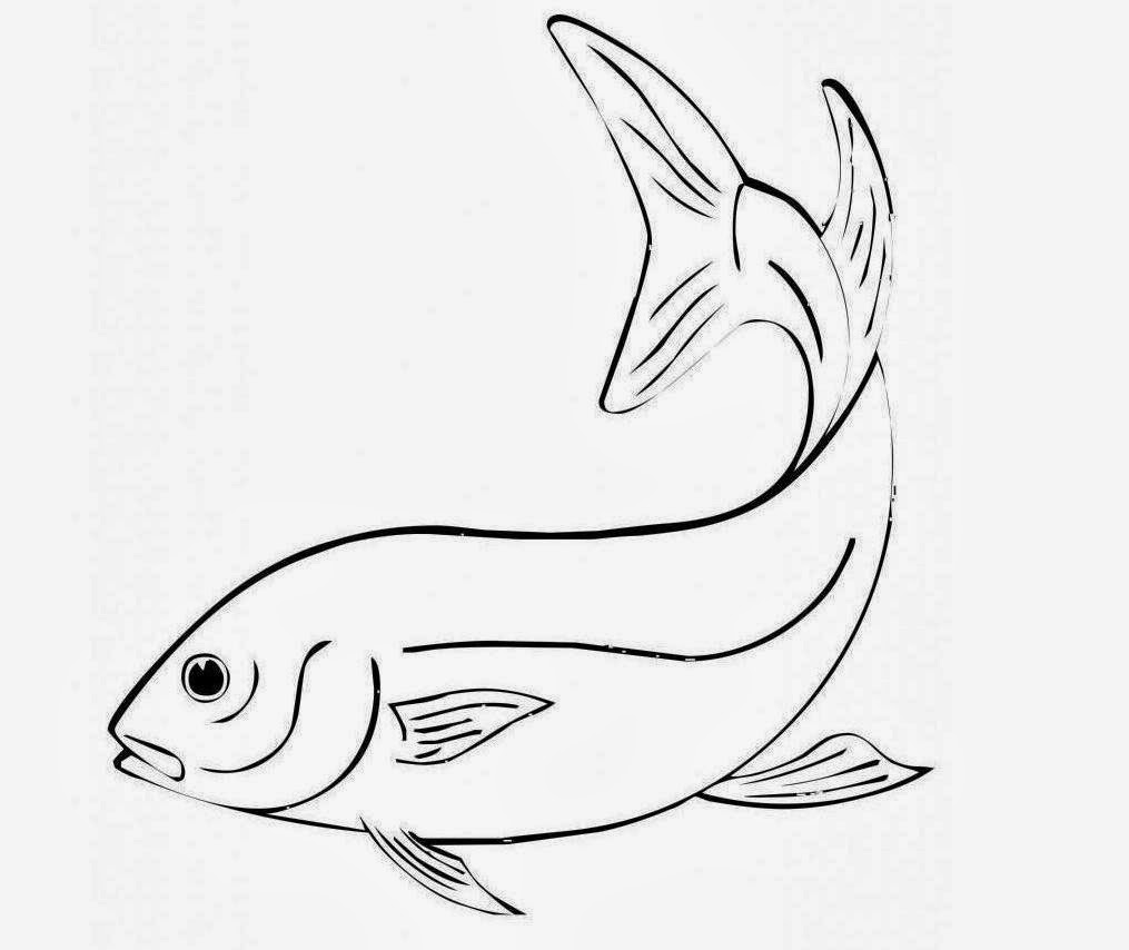 1015x854 Cute Fish For Kid Coloring Drawing Free Wallpaper Anggela