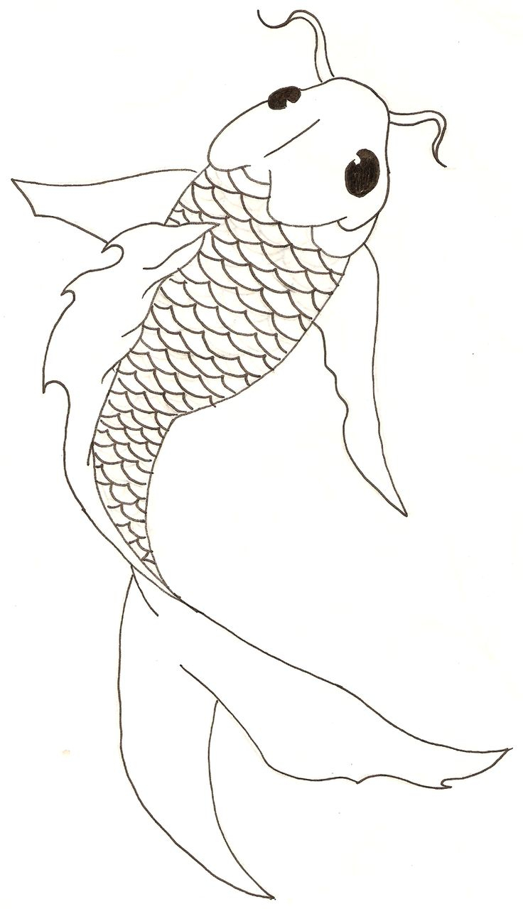 736x1279 Simple Koi Fish Drawing