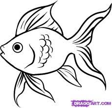 Images Of Fish Drawing at GetDrawings | Free download