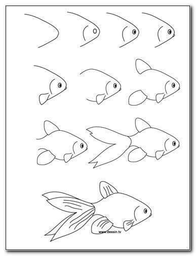 Fish Drawing Step By Step