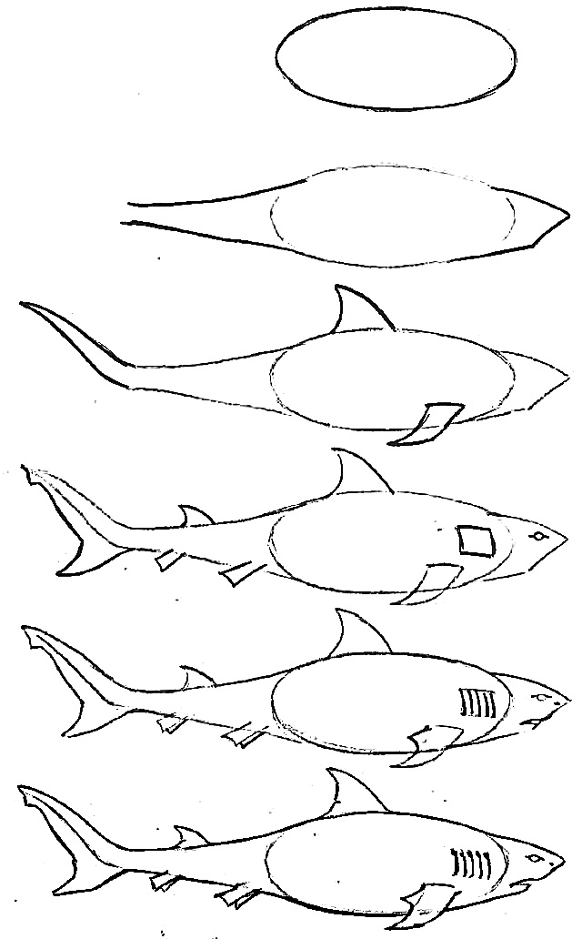 640x1032 Drawing Of Simple Fish 10 Step By Step Lessons, Part 3
