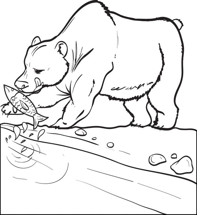 641x700 Drawn Polar Bear Fish Cartoon