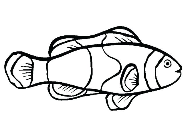 650x469 Fish Template To Color Funny Fish Coloring Page Fish Template