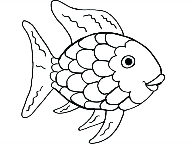 Fish Drawing Template at GetDrawings | Free download